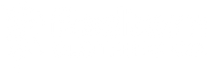 Transparent background and white Redtorn capital R with a virticle tare, along with a white heading that reads Redtorn Clothing.
