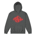 Charcoal gray Red Diamond Kids Unisex Hoodie with red logo
