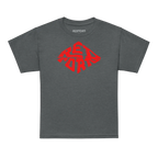 Redtorn red diamond logo kids unisex tee with gray shirt and red graphic