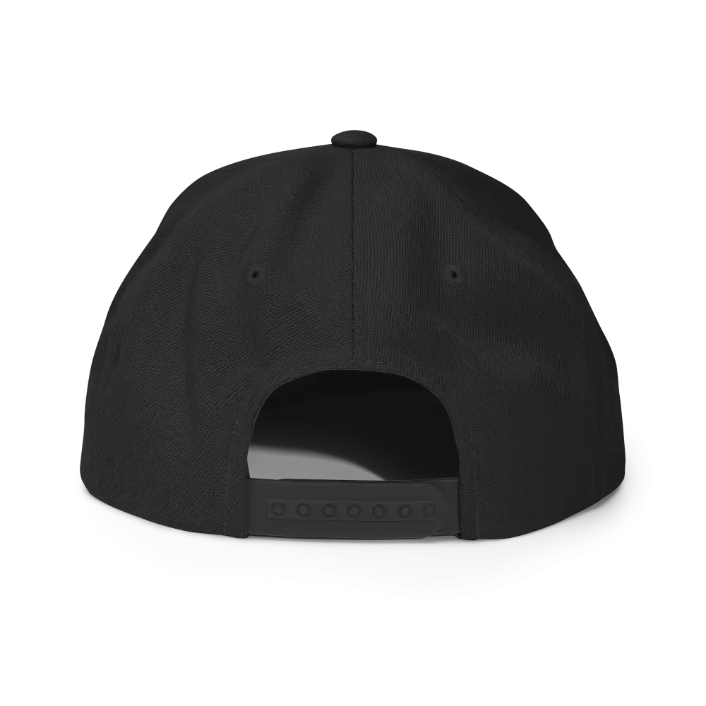 Gray RC Circle logo snapback cap with curved brim
